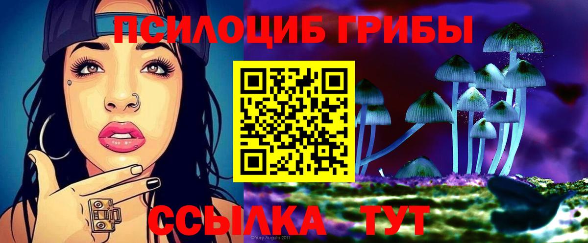 Сальск  дарнет шоп  Вход с VPN  Псилоцибиновые грибы мицелий 