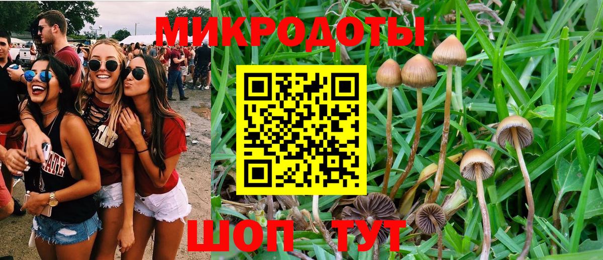 Псилоцибиновые грибы ЛСД Сальск